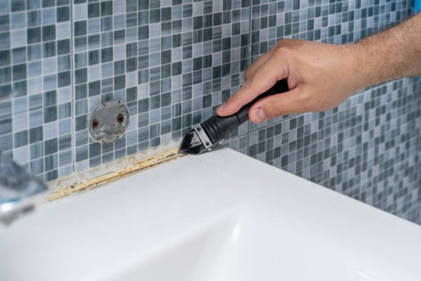 Best Mold Remediation  in Largo, MD