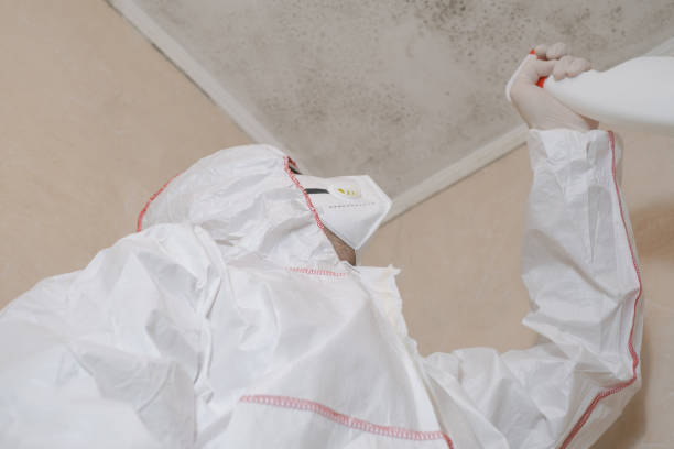 Best Mold Removal Process  in Largo, MD